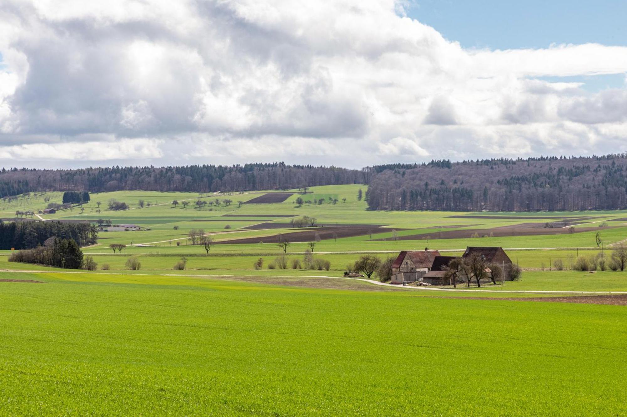 Ferienhaus Em Biehl Frankenhofen Exteriör bild